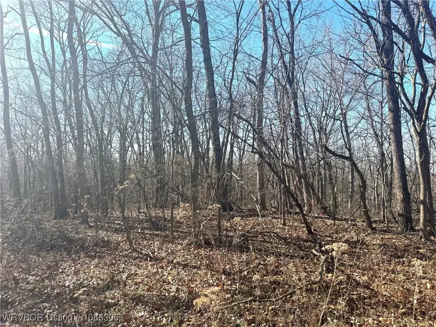 12555 Huckleberry Circle, Rogers, AR 72756 - Image #3