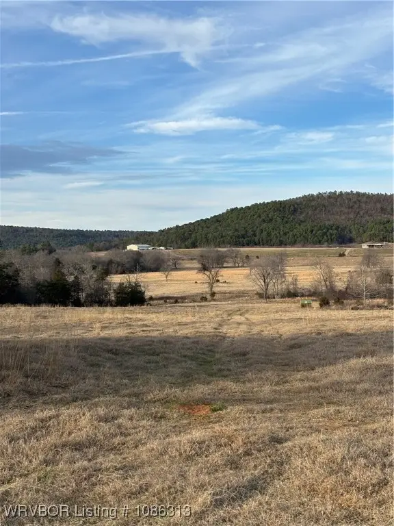 TBD Petetree Road, Wister, OK 74966