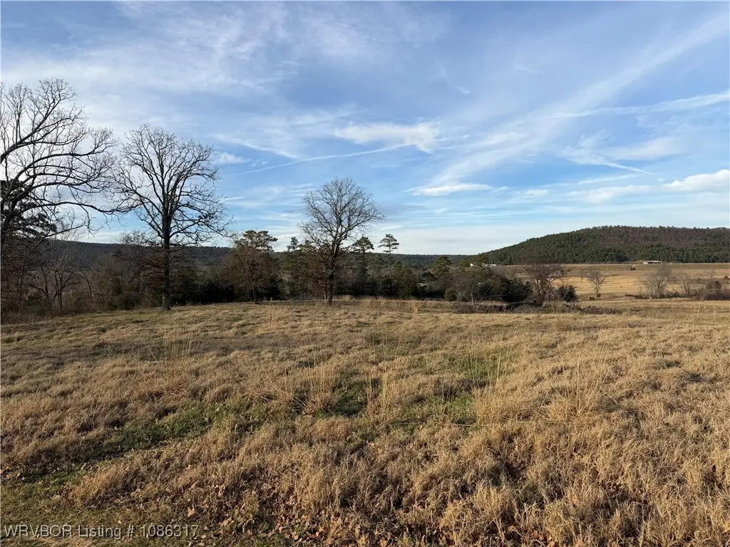 TBD Petetree Road, Wister, OK 74966 - Image #1