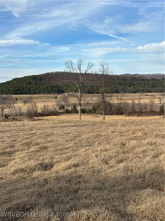 TBD Petetree Road, Wister, OK 74966 - Image #3