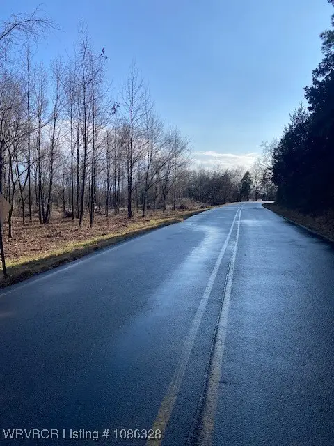 Tbd Old Church Lane, Uniontown, AR 72955 - Image #3