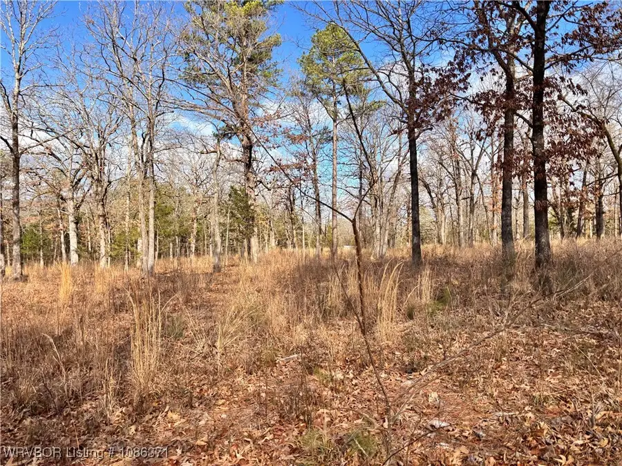 TBD Lot 6 W Harford Road, Hartford, AR 72938 - Image #3