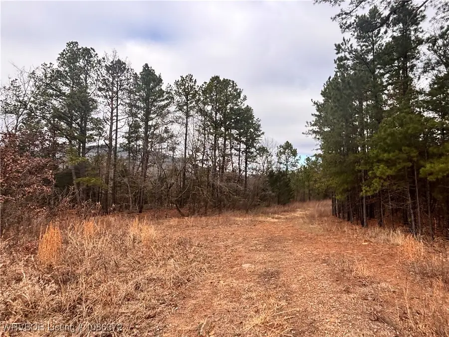 TBD Lot 9 W Hartford Road, Hartford, AR 72938 - Image #2