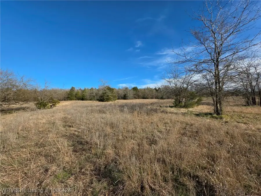 Tract 4 N 4095 Road, Moyers, OK 74557 - Image #3
