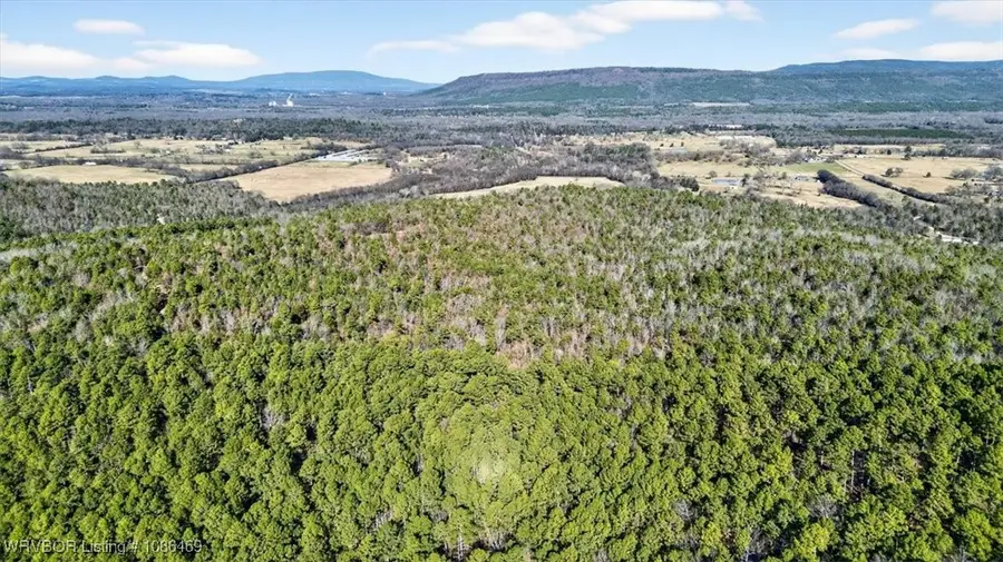 14 AC Walker Mountain Road, Hodgen, OK 72939 - #3