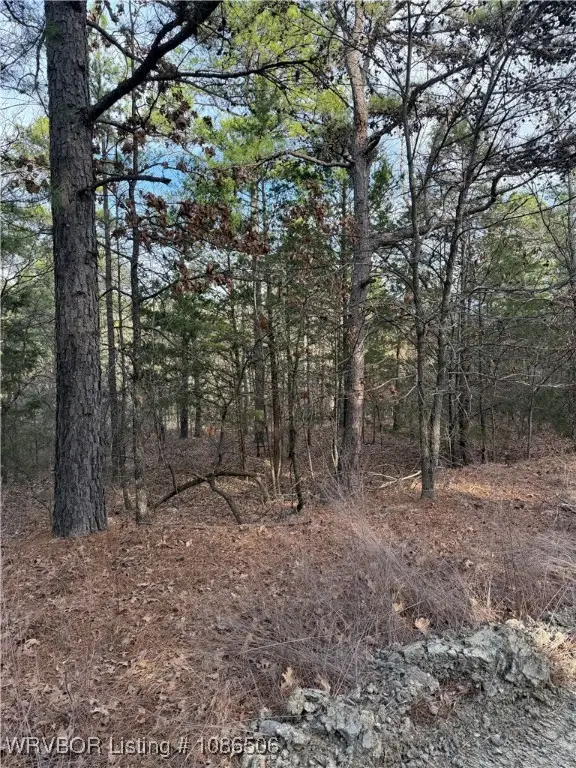 TBD Baldwin Ranch Road, Wister, OK 74966 - Image #1