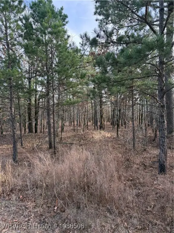 TBD Baldwin Ranch Road, Wister, OK 74966 - Image #2