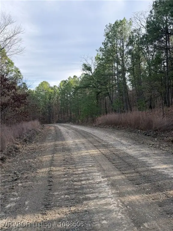 TBD Baldwin Ranch Road, Wister, OK 74966 - Image #3