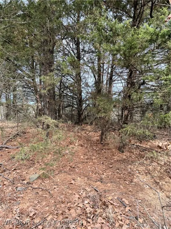 000 Calico Mtn, Paris, AR 72855 - Image #2