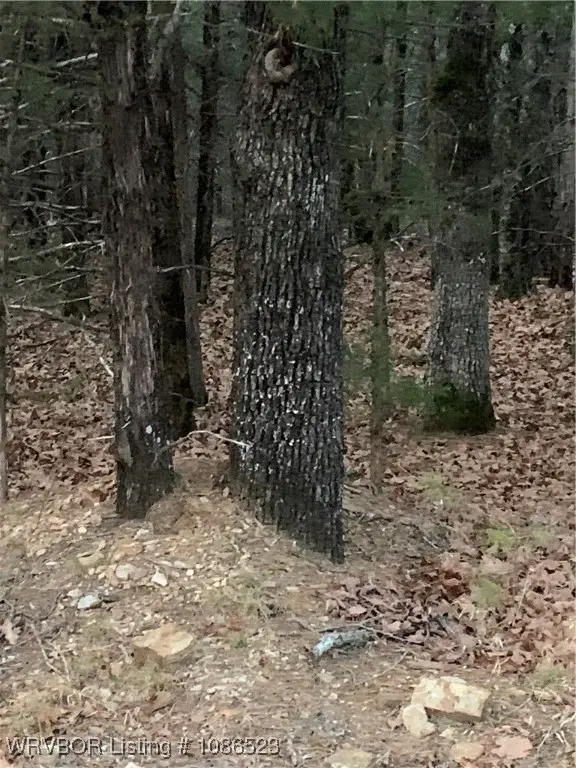 TBA Wildwood Lane #10, Poteau, OK 74953 - Image #3