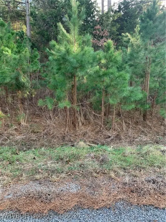 TBA Wildwood Lane #11, Poteau, OK 74953 - Image #2