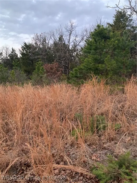 TBA Wildwood Lane #11, Poteau, OK 74953 - Image #3