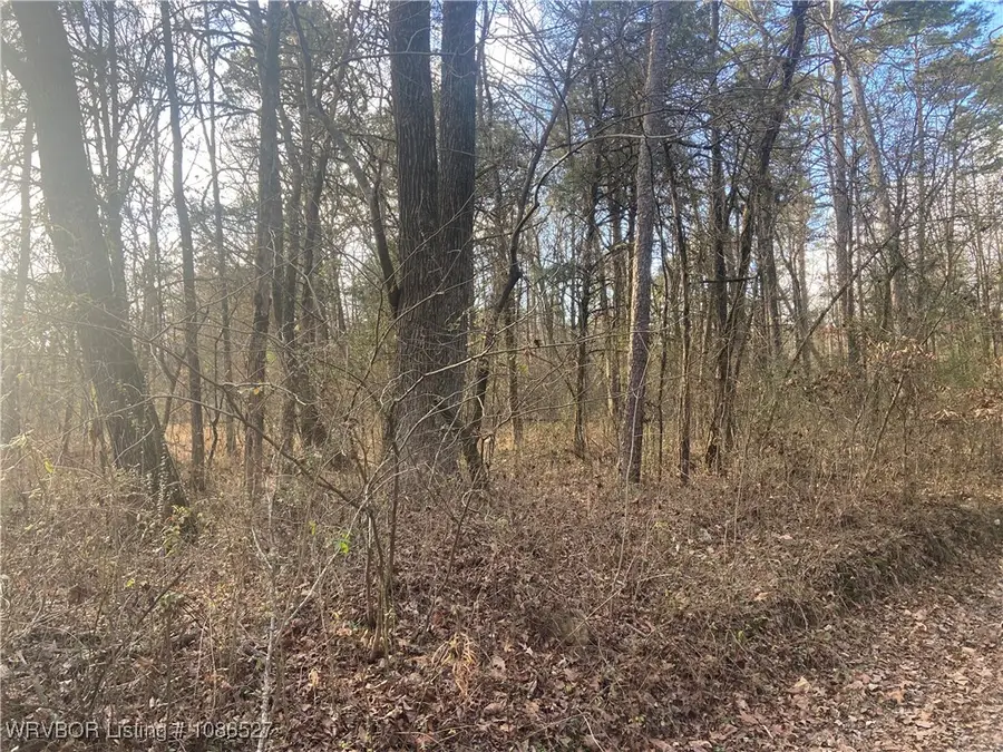 TBD Wilson Lane, Mulberry, AR 72947 - Image #3