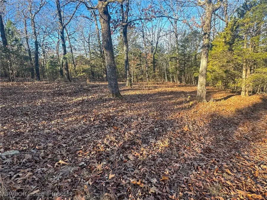 2953 Summer Loop, Cedarville, AR 72932 - Image #3