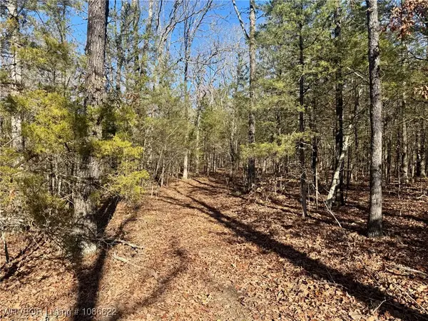TBD Zachary Trail, Rudy, AR 72921
