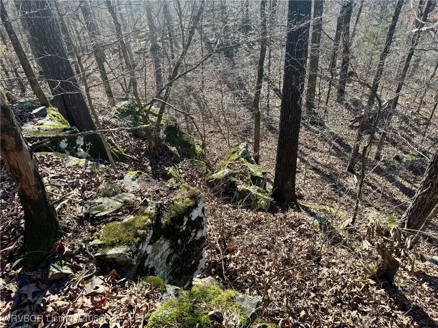 TBD Zachary Trail, Rudy, AR 72921 - Image #3