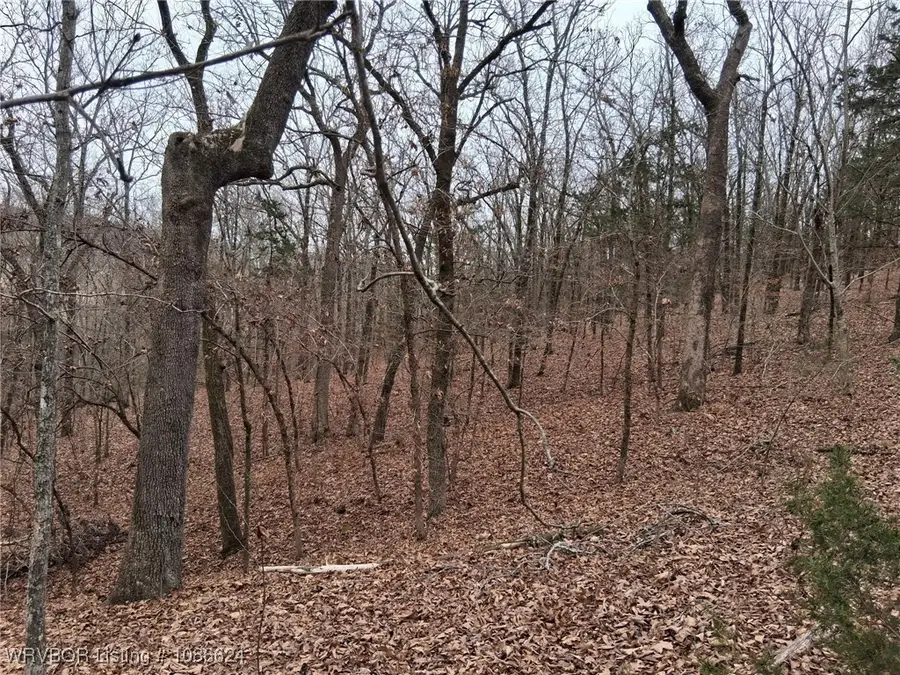 TBD Clarks Chapel Road, Greenwood, AR 72936 - Image #3