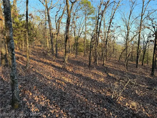 TBD Ouachita National Forest, Danville, AR 72833