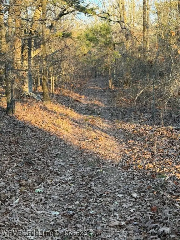 TBD Ouachita National Forest, Danville, AR 72833 - Image #2