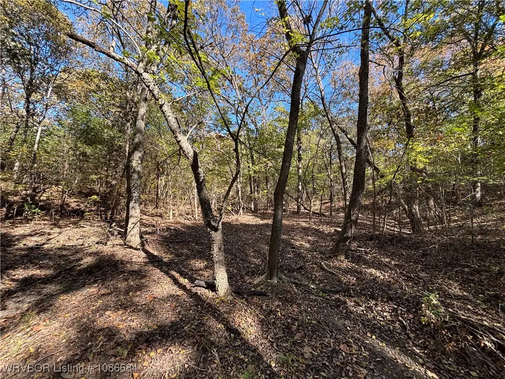 TBD Lakeview Lane, Eufaula, OK 74432 - Image #1