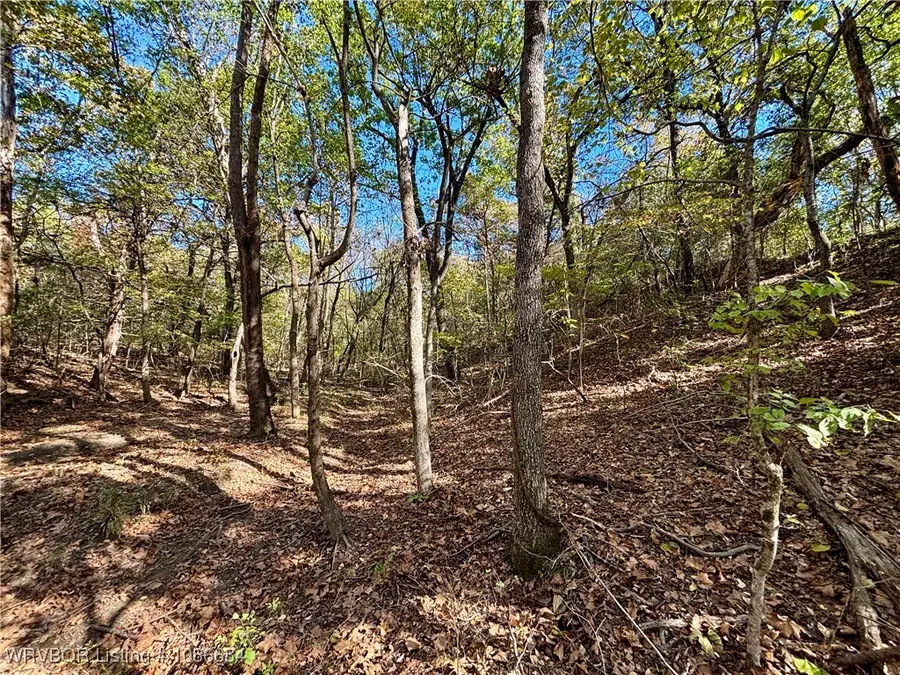 TBD Lakeview Lane, Eufaula, OK 74432 - Image #2