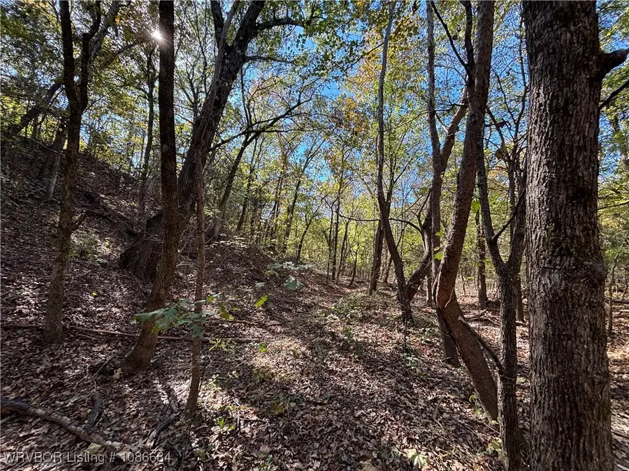 TBD Lakeview Lane, Eufaula, OK 74432 - Image #3