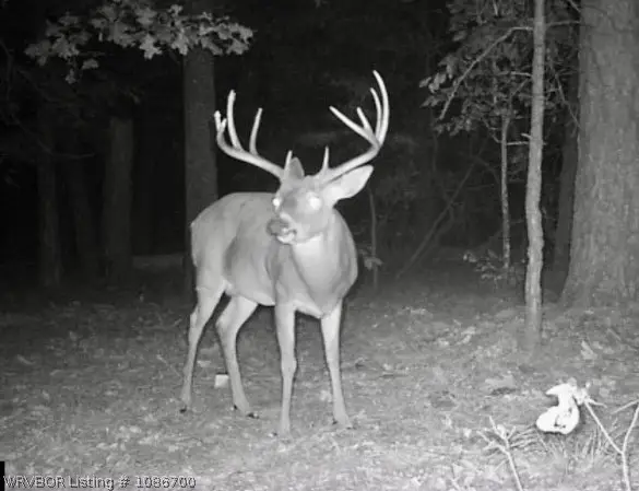 TBD Williams Road, Blanco, OK 74528 - #2