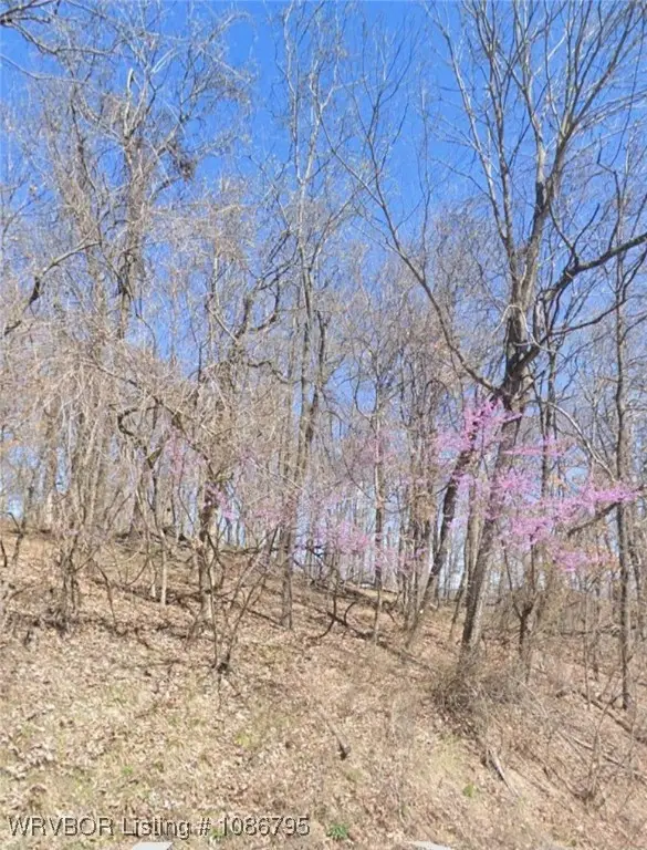 TBD Summit Drive, Holiday Island, AR 72631 - Image #1