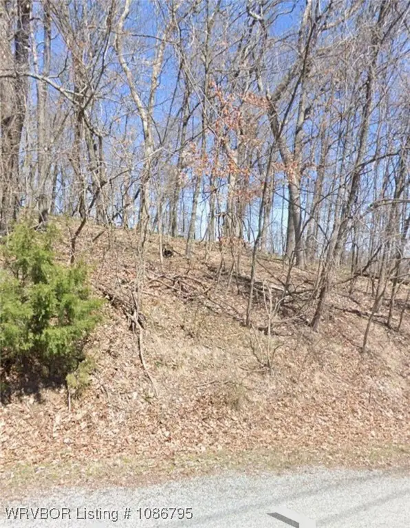 TBD Summit Drive, Holiday Island, AR 72631 - Image #2