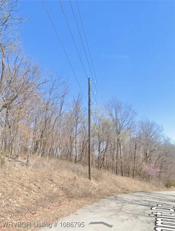 TBD Summit Drive, Holiday Island, AR 72631 - Image #3