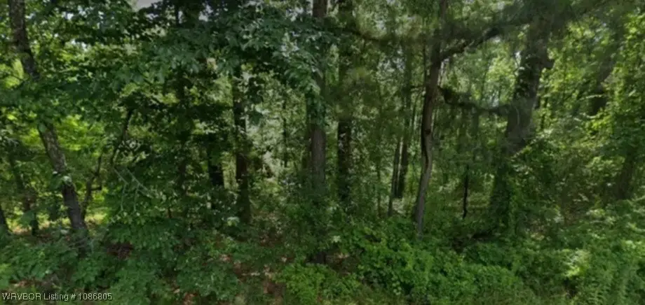 Lot 009 N Norman Street, Vaugine, AR 71602 - #1