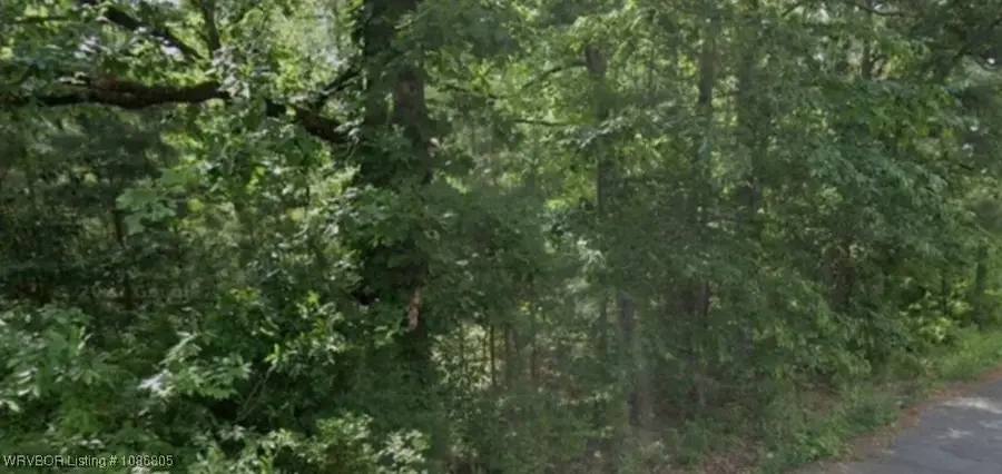 Lot 009 N Norman Street, Vaugine, AR 71602 - #2