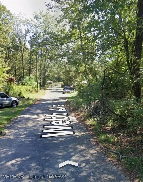 Lot 004 W Webb Avenue, Vaugine, AR 71602 - #3