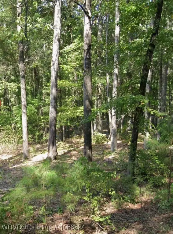 Lot 011 W Jones Avenue, Vaugine, AR 71602 - #1