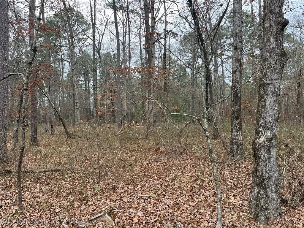 TBD Rural, Smithville, OK 74957 - #1