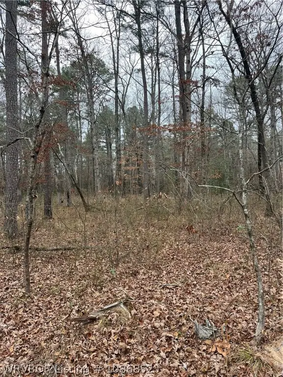 TBD Rural, Smithville, OK 74957 - #3