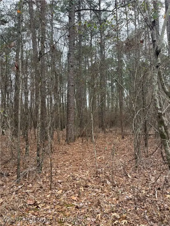 TBD Rural, Smithville, OK 74957 - #2