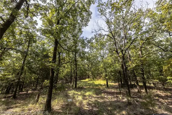 Tract 18 Wolf Mountain Road, Clayton, OK 74574