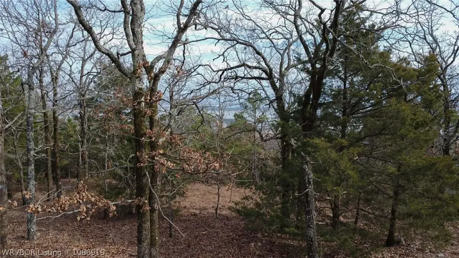 Tract 18 Wolf Mountain Road, Clayton, OK 74574 - #3