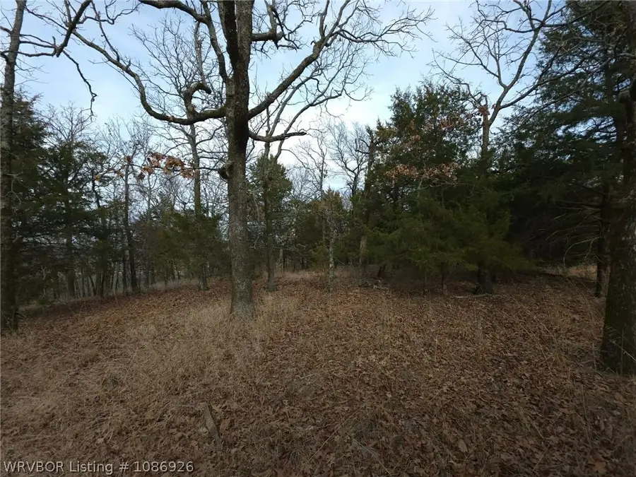 TBD Wolf Mountain Road, Clayton, OK 74574 - #2