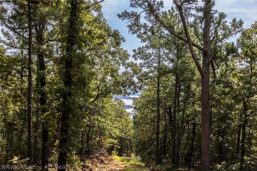 TBD Wolf Mountain Road, Clayton, OK 74574 - #3