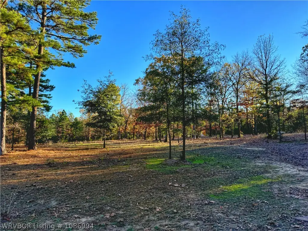 58680 Billy Creek Road, Muse, OK 74949 - #1