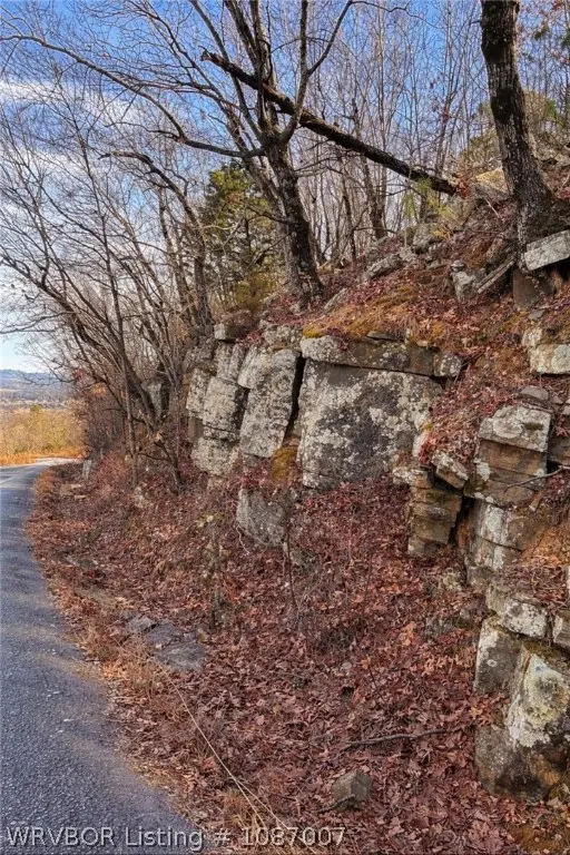 TBD Witteville Drive, Poteau, OK 74953 - #2