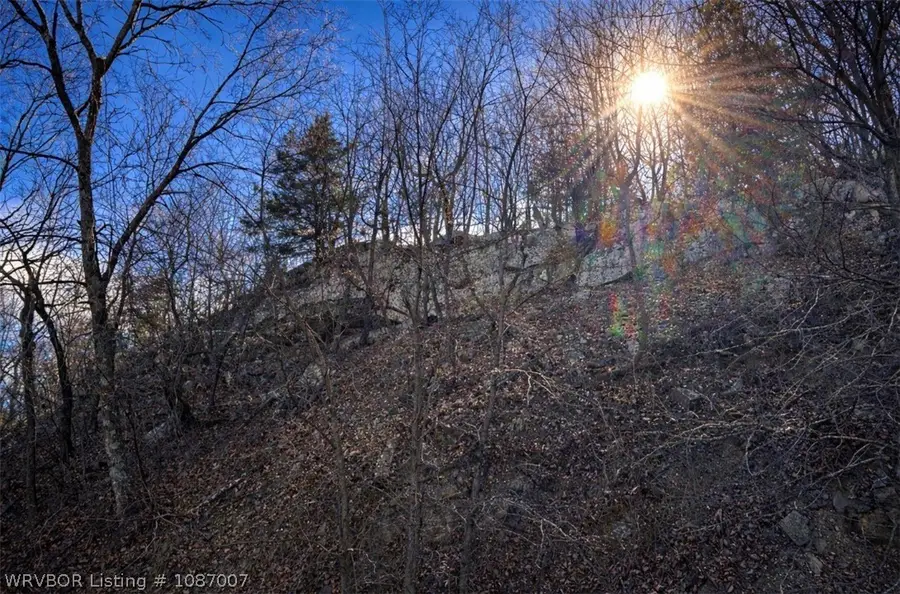 TBD Witteville Drive, Poteau, OK 74953 - #3