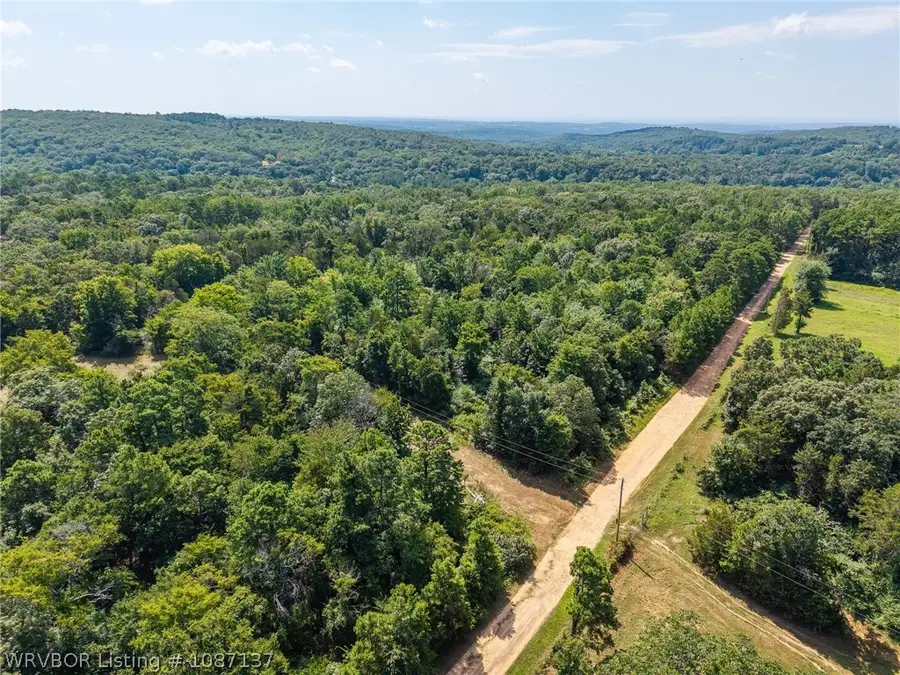 TBD Mountain Road, Rudy, AR 72952 - #3