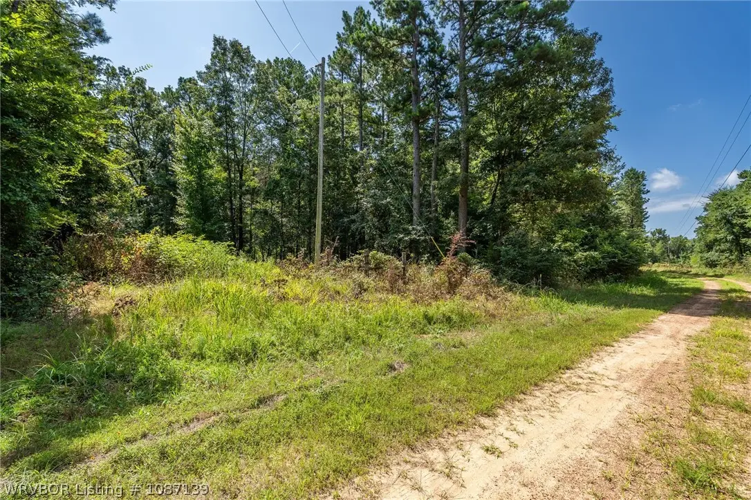 TBD Mountain Road, Rudy, AR 72952 - #1