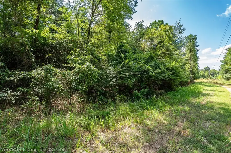 TBD Mountain Road, Rudy, AR 72952 - #3