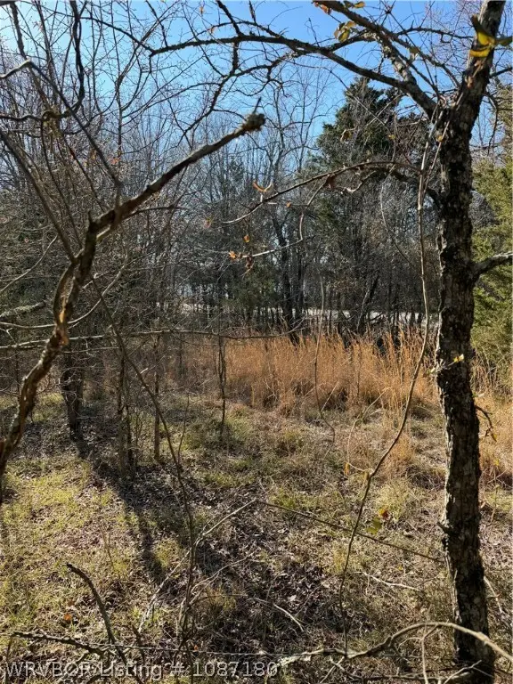 TBD Cowlington Road, Keota, OK 74941 - #3