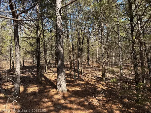 Tract 9 Suvada Lane, Paris, AR 72855