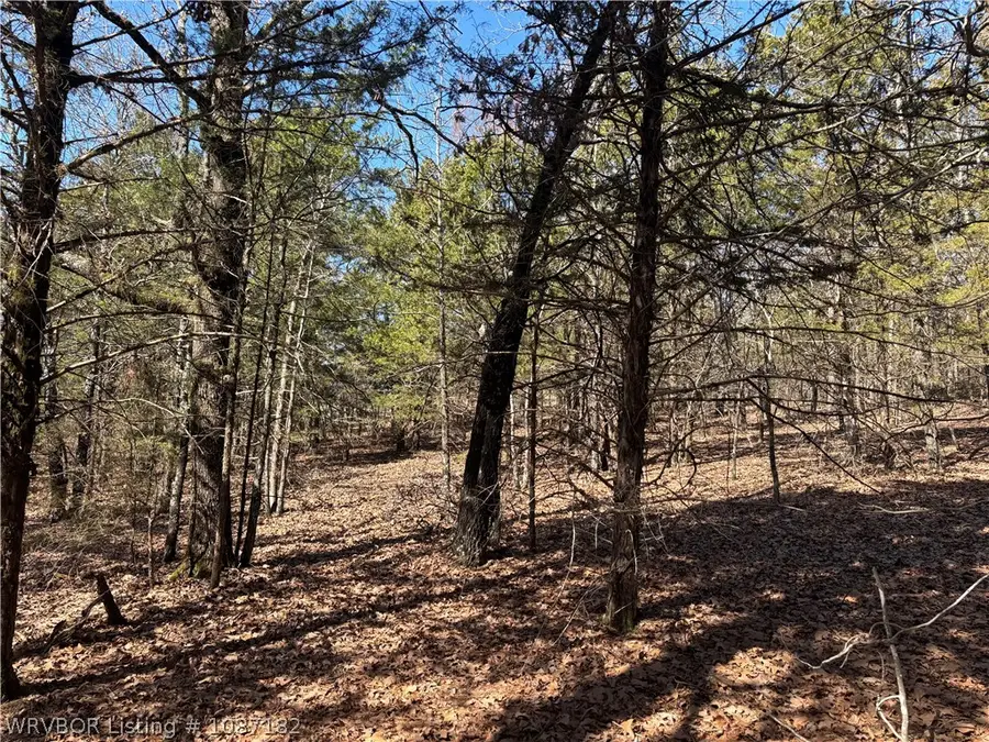 Tract 9 Suvada Lane, Paris, AR 72855 - #3